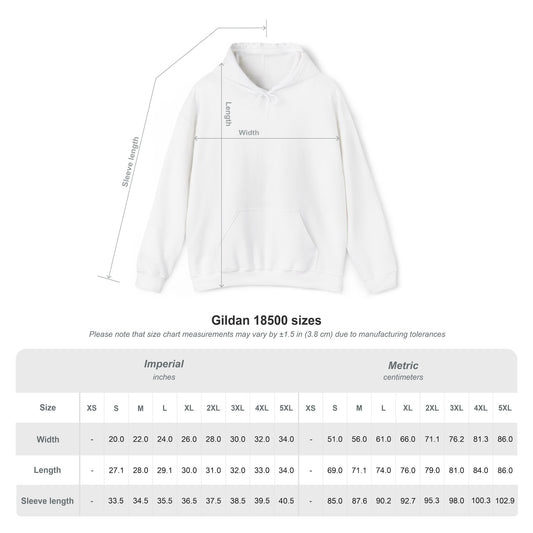 Koppen Geiger Arid Desert Hoodie