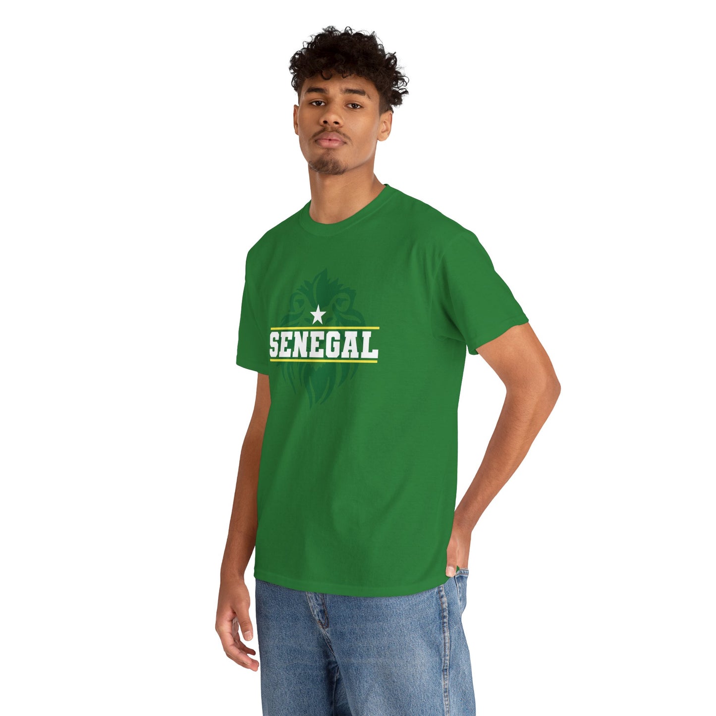 Senegal - World Cup