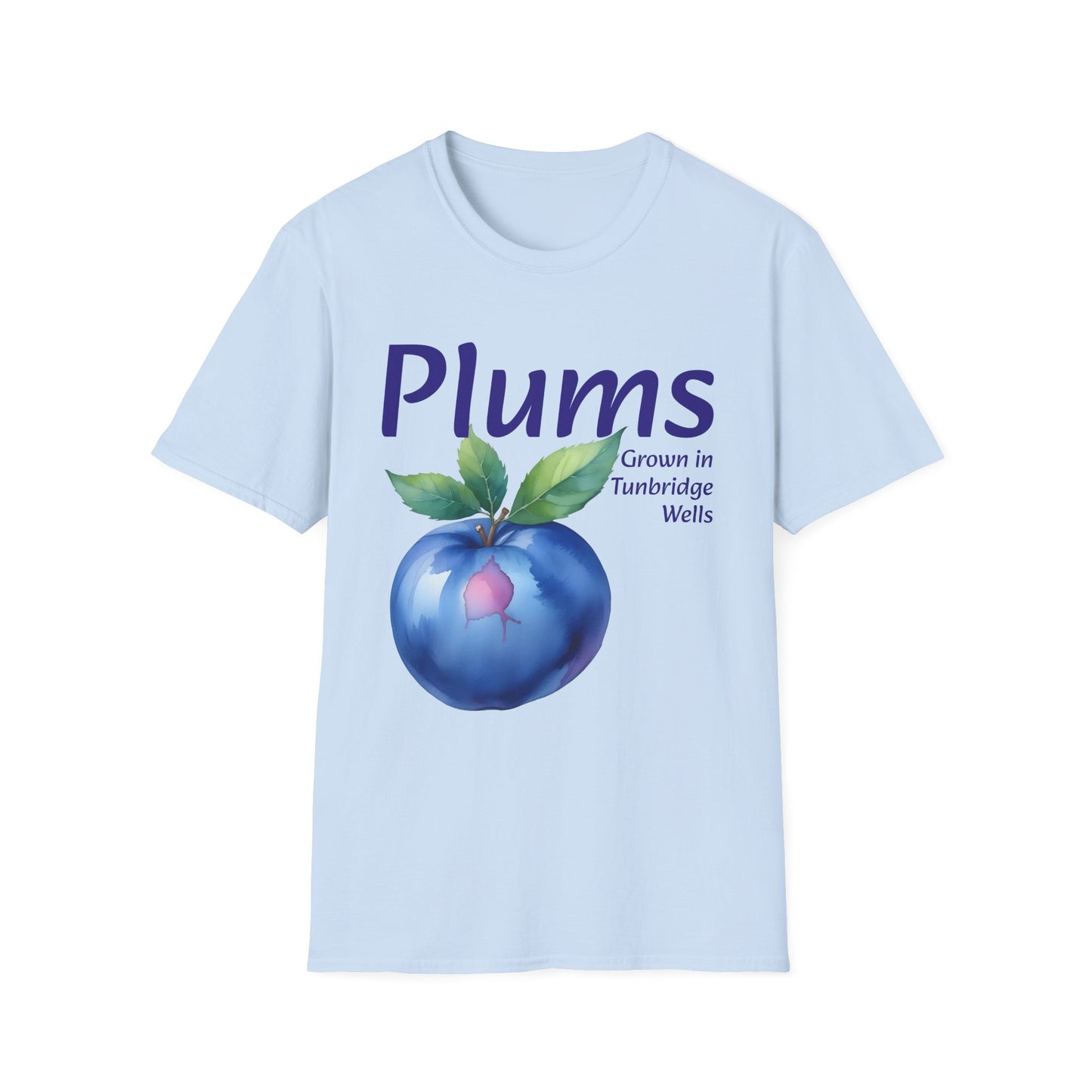 CM - Color Matched Plum
