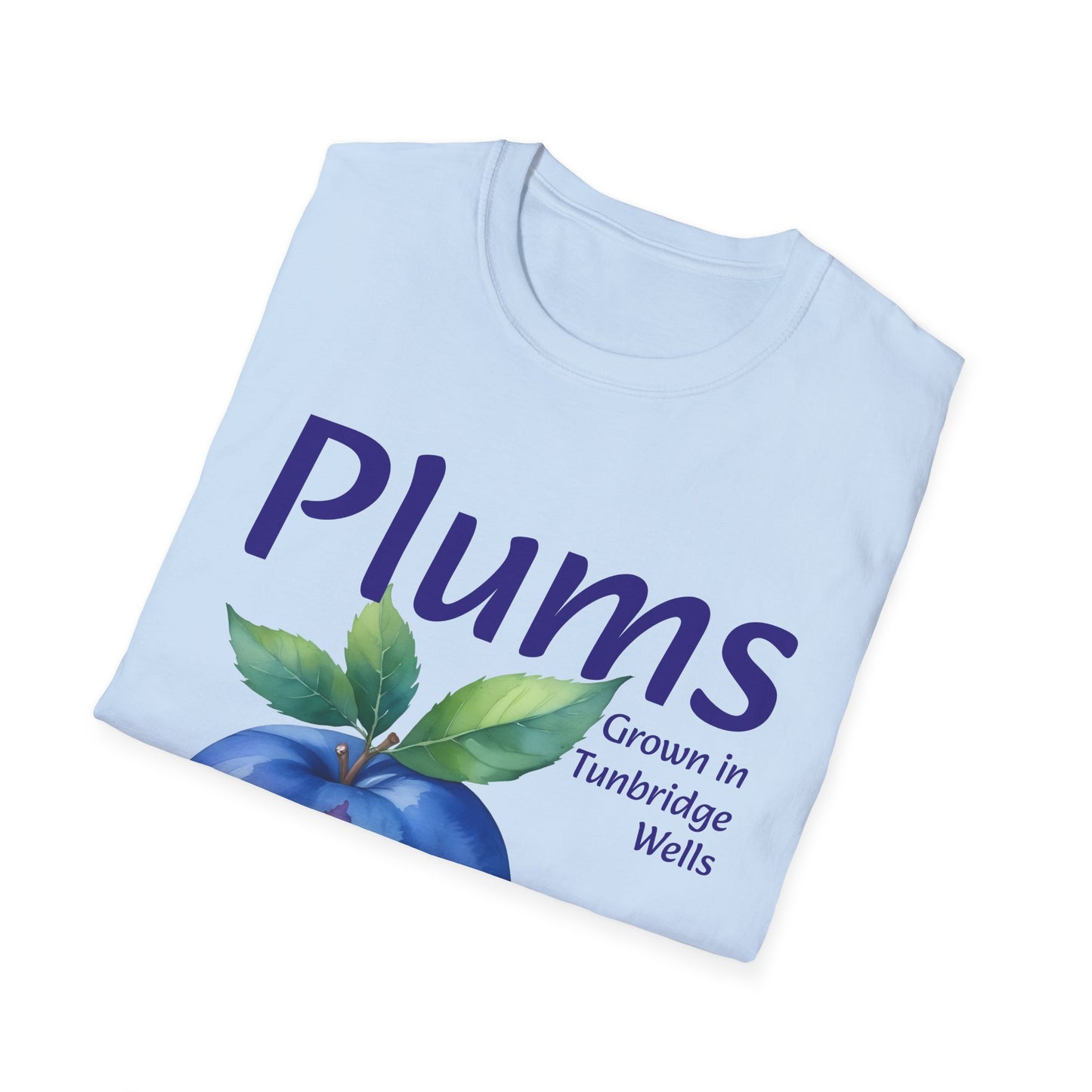 CM - Color Matched Plum